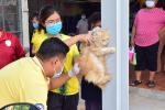 โครงการพิษสุนัขบ้า