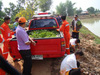 ท้องถิ่นไทย รวมใจภักดิ์ รักษ์พื้นที่สีเขียว